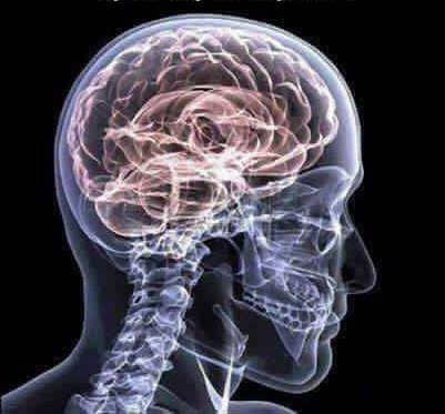 Poză Culturismul, dincolo de muschi