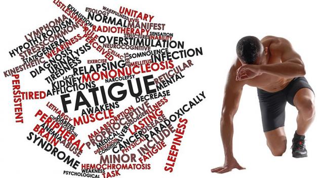 Poză Stresul si Catabolismul Muscular