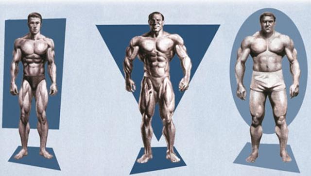 Poză Ce suplimente nutritive sa folosesti in functie de tipul somatic