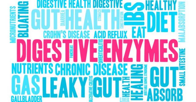 Poză ENZIMELE DIGESTIVE - EFICIENTIZAREA ABSORBTIEI NUTRIENTILOR