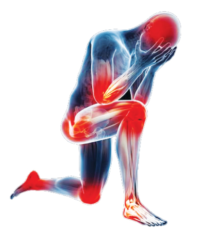 Poză INFLAMATIA - INTRE BOALA SI ADAPTARE