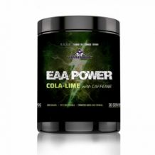 Poză EAA Power