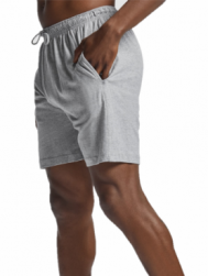Poză Sport Short Pants gray